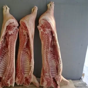 Мясо свинина УрФО